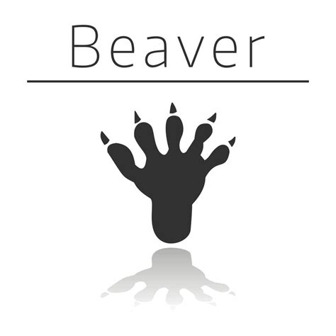 Beaver animal track 14152334 Vector Art at Vecteezy