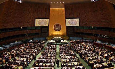 UN Assembly picks five new SC members - World - DAWN.COM