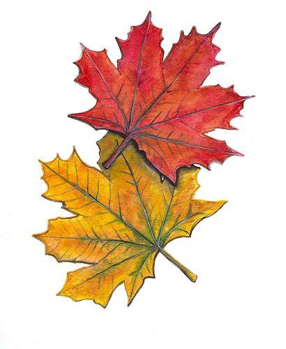 Maple Leaves - acrylic painting | Painted leaves, Autumn art, Fall clip art