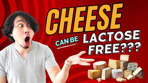 What Cheeses Are Lactose Free? (Guide For Lactose Intolerant Cheese ...