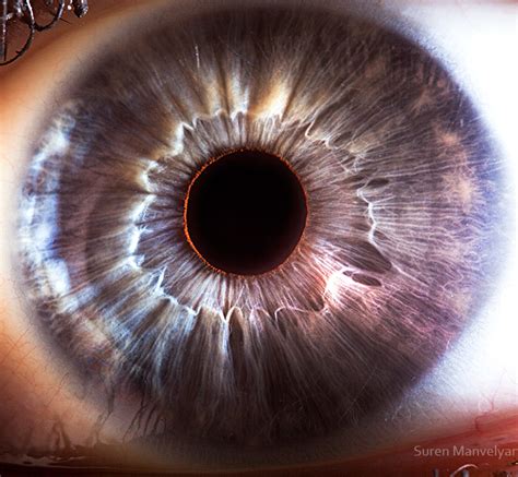 'Your Beautiful Eyes' - Amazing Close-Up Photos Of Human Eyes By Suren ...