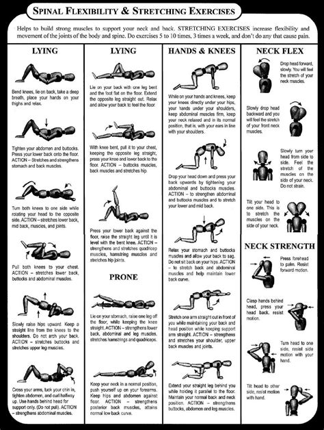 Stretching Exercises To Do At Home | ormig.com