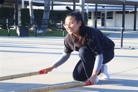 Why Learn the Basic Steps of Tinikling Dance? - Pinas Culture