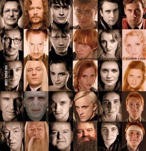 Harry Potter cast IRL & in character | Harry potter cast, Harry potter characters, Harry potter