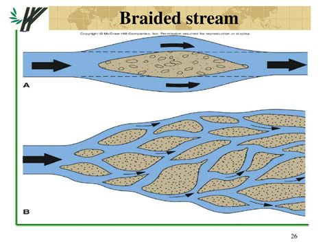 Braided Stream Diagram