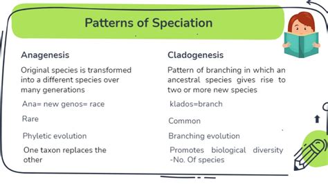 Anagenesis vs Cladogenesis |Patterns of speciation| - YouTube