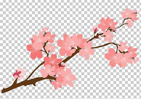 free clipart cherry blossom branch 10 free Cliparts | Download images ...