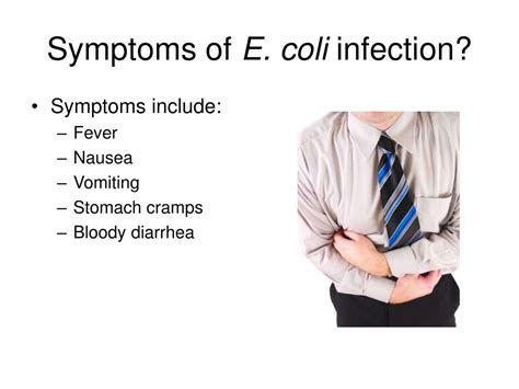 PPT - Escherichia coli O157:H7 PowerPoint Presentation, free download ...