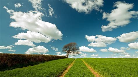 Field Landscape 1920 x 1080 HDTV 1080p Wallpaper