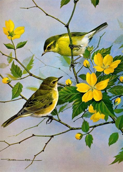 Realistic Oil Painting Of Birds | Иллюстрация птицы, Краска, Отпечатки ...