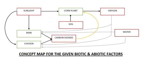 Show the connections of the given biotic and abiotic factors written ...