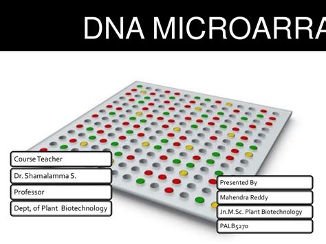 DNA microarray