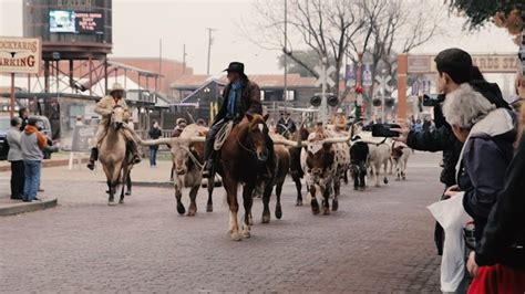 Top 10 best Family Attractions in Fort Worth - Texas Capital Forum ...