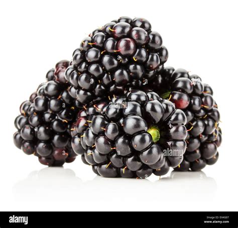 juicy bramble-berry isolated on the white background Stock Photo - Alamy