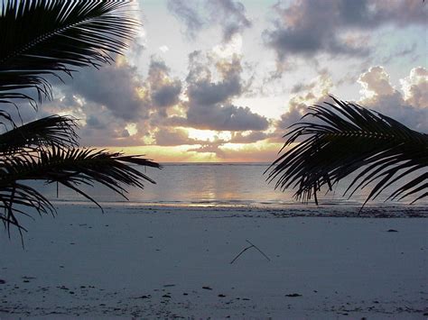 Diani Beach, Kenya – Travel Guide and Travel Info | Tourist Destinations