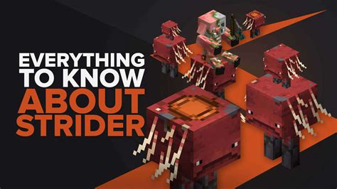 Everything You Need To Know About Striders In Minecraft