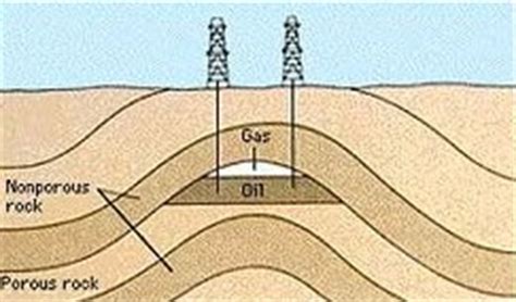 Easy Science: how oil forms | Lucky Sci