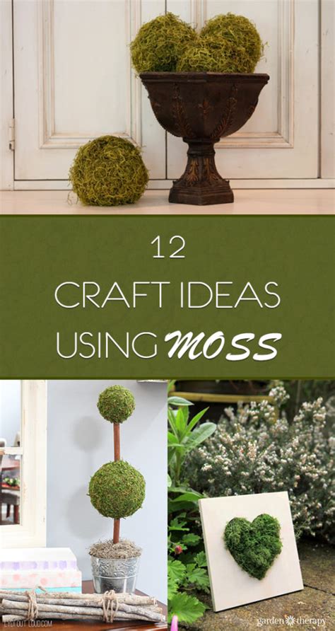 12 Easy Craft Ideas Using Moss - Cool DIY Ideas