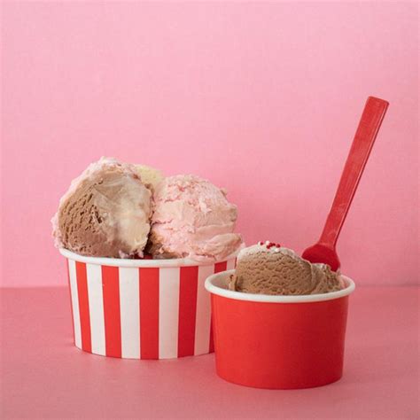 Bulk Disposable Ice Cream Cups - Frozen Dessert Supplies