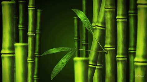 Simple Bamboo HD Wallpapers - Top Free Simple Bamboo HD Backgrounds - WallpaperAccess