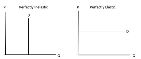 Perfectly Elastic and Inelastic - Wize University Microeconomics Textbook | Wizeprep