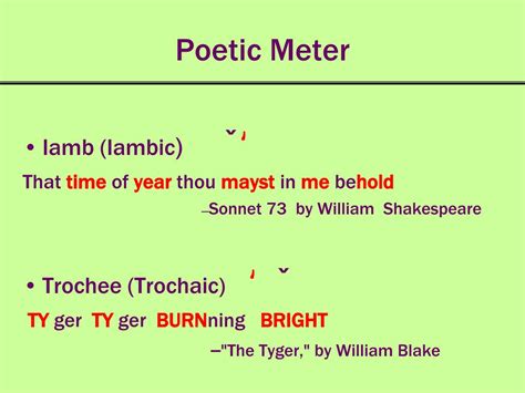 PPT - Poetic Meter PowerPoint Presentation, free download - ID:1399724