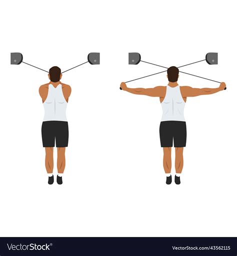 Man doing high cable rear delt fly exercise Vector Image