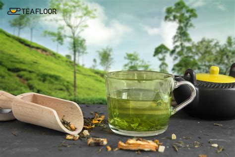 Different Types of Green Tea You Need to Know About