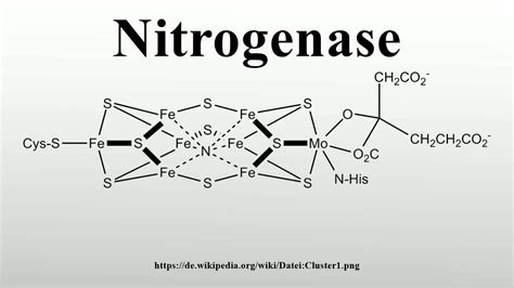 Nitrogenase - YouTube