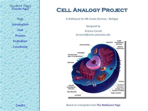 Cell Analogy Project