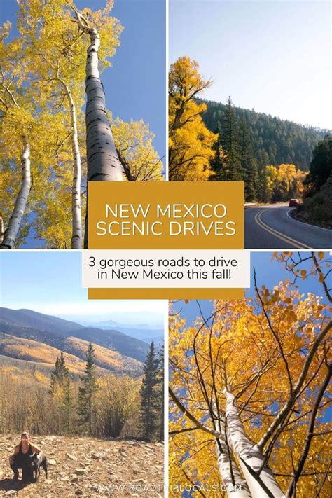 3 Scenic Fall Drives in New Mexico (+ 8 🍂 Pictures to Inspire a Road ...