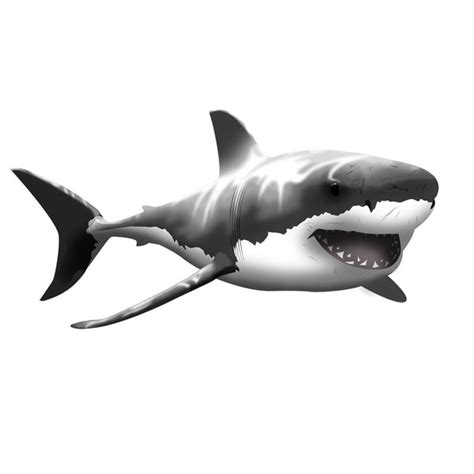 Giant Great White Shark Wall Decal | VWAQ