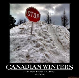 Canadian Winters | Canadian winter, Canada funny, Canadian things