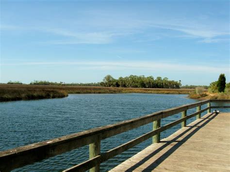 Hernando County Waterfront Parks: Fishing at Jenkins Creek!