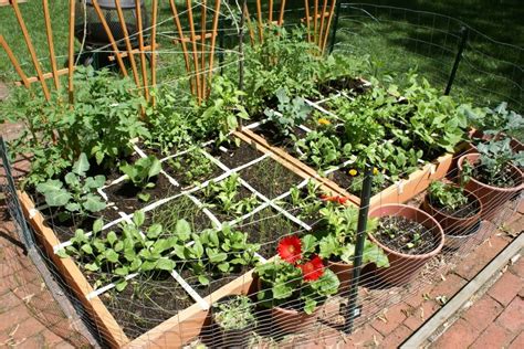 square foot vegetable garden Vegetable Garden For Beginners, Backyard ...