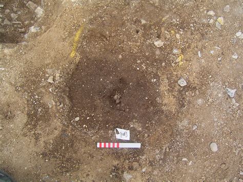 Excavation and Post-Excavation Data from Margetts Pit, Margetts Lane ...