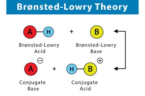 11 Extraordinary Facts About Bronsted-Lowry Theory - Facts.net