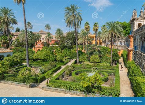 Gardens Royal Alcazar of Sevilla Editorial Photography - Image of palm, garden: 129057937