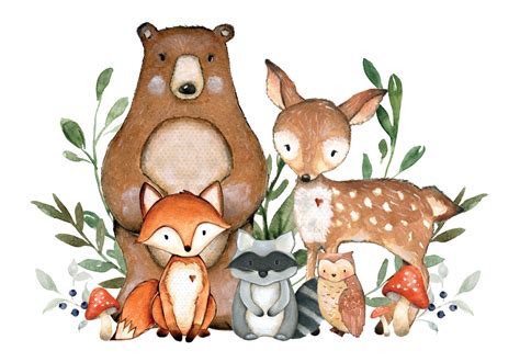 Watercolor Woodland Animals Png 523 Download