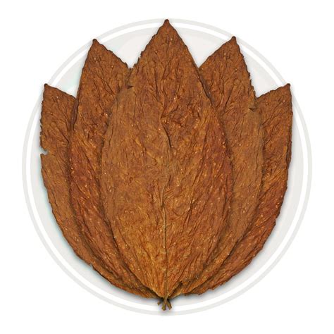 Organic Tobacco Leaf - USDA Certified Organic Burley Whole Leaf Tobacco