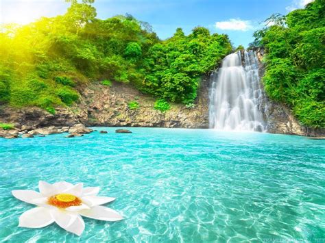 Waterfall Paradise Wallpapers - Wallpaper Cave