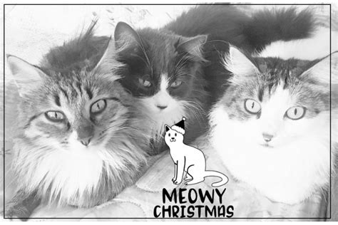 Pet Christmas Card Template | PosterMyWall