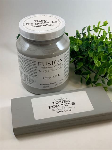 Fusion Mineral Paint in 2020 | Mineral paint, Fusion mineral paint, Fusion paint