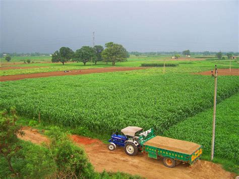 Punjab | Punjab culture, Agriculture photos, Village photography