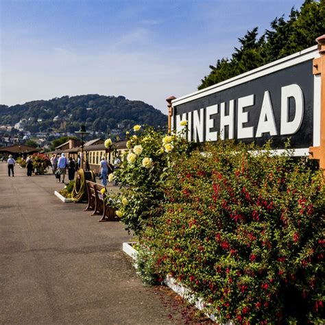 Visit Minehead | The Old Ship Aground Minehead