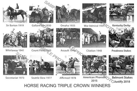 Top 6 War Admiral Triple Crown - Product Reviews