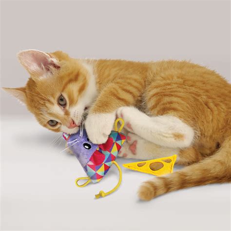 Top 7 Cat Chew Toys To Try | KONG Club