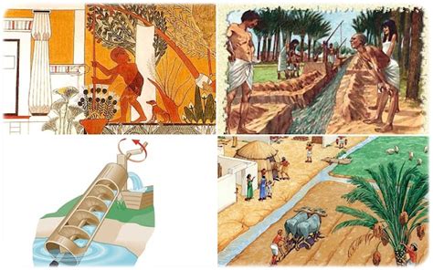 Ancient Egyptian irrigation methods | Egy king