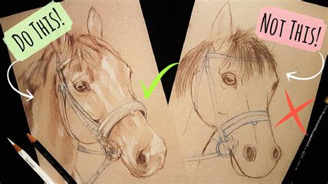 Sketching Animals: How To Draw a Realistic Horse - YouTube