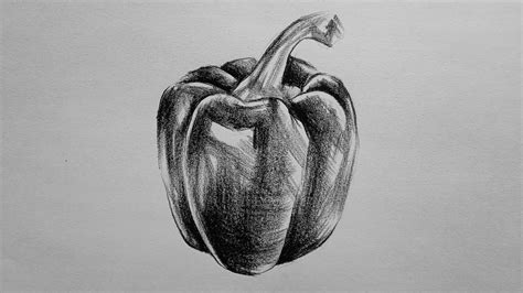 Capsicum Drawing And Shading - YouTube